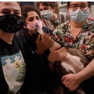 Meet your Posher, Ana